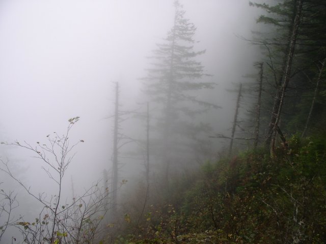 10.28.05 Devil's Rest 067 